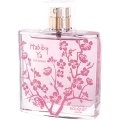Habiby Ya by Parfums Bouquet