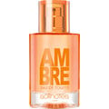 Ambre by Solinotes