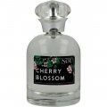 Cherry Blossom by Nou