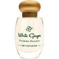 White Ginger (Perfume Essence) von Terranova