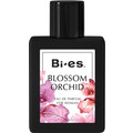 Blossom Orchid (Eau de Parfum) von Uroda / Bi-es