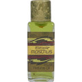 Extase Moschus / Extase Musk Woman (Perfume Oil)