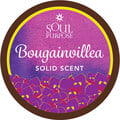Bougainvillea by Soul Purpose