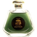 Fleurs Sauvages (2021) von Teone Reinthal Natural Perfume