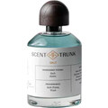 Salt by Scent Trunk