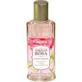 Ancian Rosa by Durance en Provence