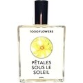 Pêtales sous Le Soleil by 1000 Flowers