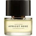 Apricot Rose by Heretic