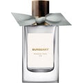 Windsor Tonic by Burberry