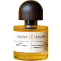 Berry Citrus by Scent Trunk