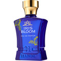 Iris Bloom by Habibi