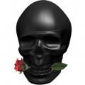 Skulls & Roses for Him by Ed Hardy