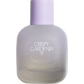 02 Crispy Gardenia von Zara