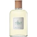 Polo Earth - Provencial Sage by Ralph Lauren
