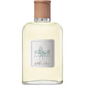 Polo Earth - Antilles Vetiver by Ralph Lauren