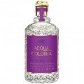 Acqua Colonia Lavender & Thyme
