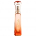 Ted's Sweet Treat - Vida by Ted Baker