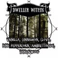 Dweller Within by Lurker & Strange
