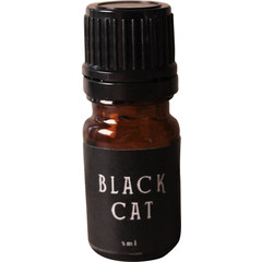Black Cat by Black Baccara