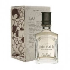 SoCal (Perfume) by Hollister