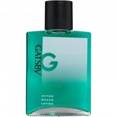After Shave Lotion Classic by Gatsby / ギャツビー