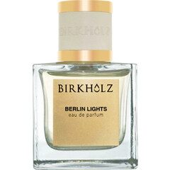 Berlin Lights by Birkholz