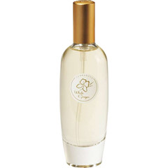 Island Collection - White Ginger (Cologne Mist) by Terranova