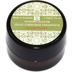 Solid Christmas Fragrance - Hayward Forest by Hayward Celeste