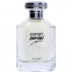 Esprit Infini by Hayari