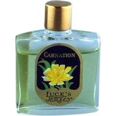 Carnation by Luce's