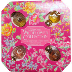 Sweet Earth Wild Flower Collection - Wild Rose by Coty