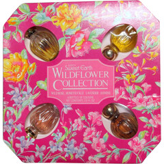 Sweet Earth Wild Flower Collection - Lavender by Coty