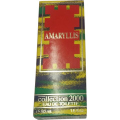 Amaryllis von Collection 2000