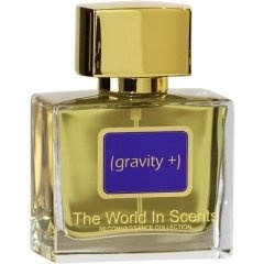Reconnaissance Collection - (Gravity +) by The World in Scents