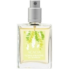 Acacia / アカシア by Floral 4 Seasons / フローラル･フォーシーズンズ