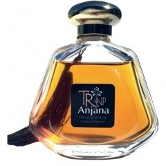Anjana by Teone Reinthal Natural Perfume