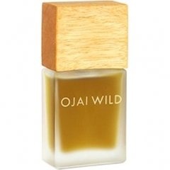 Archival - Chamomile Flowers by Ojai Wild
