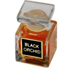 Black Orchid by Alain Steven