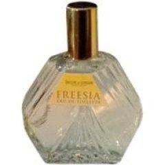Freesia by Taylor of London