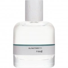 Reed by Olfactory NYC