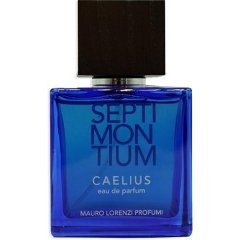 Septimontium - Caelius von Mauro Lorenzi