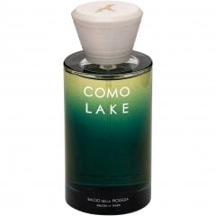 Bacio Nella Pioggia by Como Lake