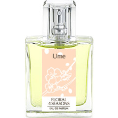Ume / 春告げ草 / Harutsugegusa von Floral 4 Seasons / フローラル･フォーシーズンズ