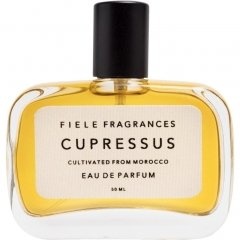 Cupressus von Fiele Fragrances