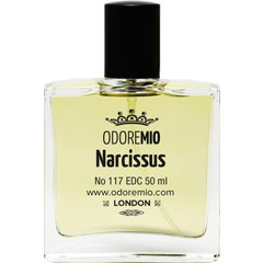 Narcissus von Odore Mio