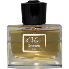 Treasure von Odore Perfumes