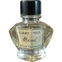 Gardenia by René New Orleans
