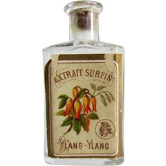 Extrait Surfin Ylang-Ylang by Unknown Brand / Unbekannte Marke