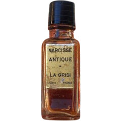 Narcisse Antique by La Grisi