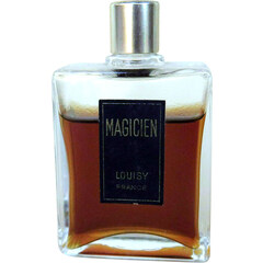 Magicien by Louisy